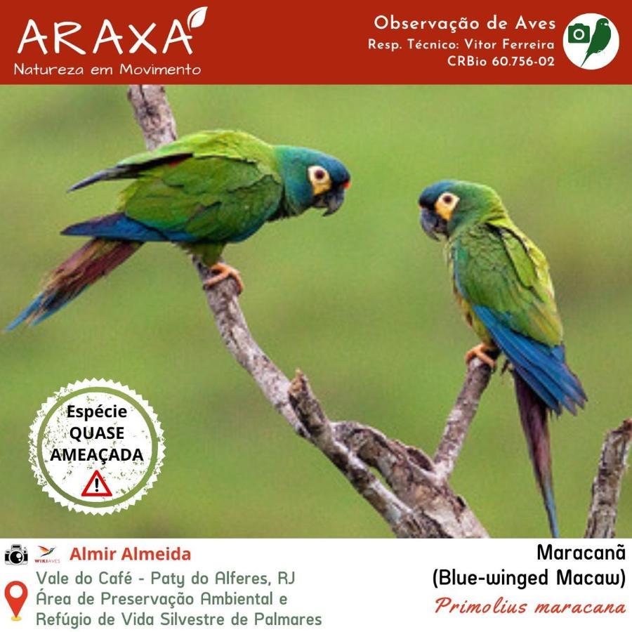 Sitio Araxa - 82 Anos De Historia - Suite Confortavel Em Meio A Floresta Paty do Alferes Extérieur photo