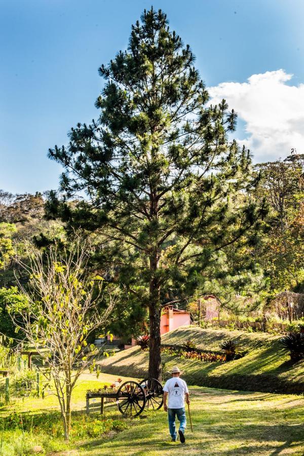 Sitio Araxa - 82 Anos De Historia - Suite Confortavel Em Meio A Floresta Paty do Alferes Extérieur photo