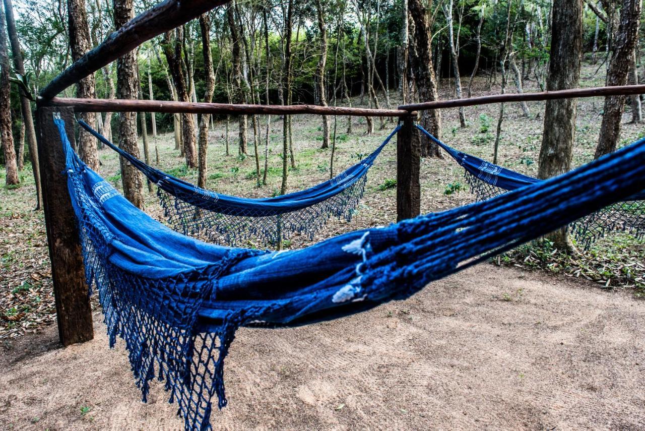 Sitio Araxa - 82 Anos De Historia - Suite Confortavel Em Meio A Floresta Paty do Alferes Extérieur photo
