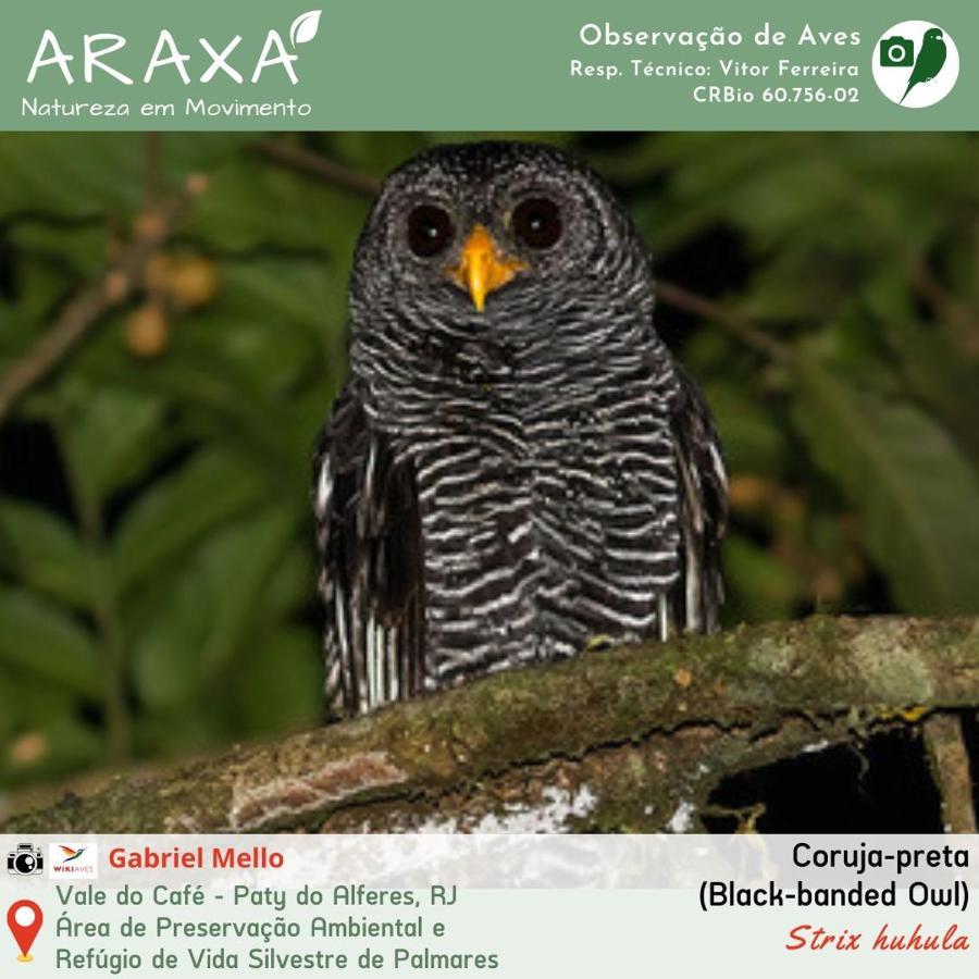 Sitio Araxa - 82 Anos De Historia - Suite Confortavel Em Meio A Floresta Paty do Alferes Extérieur photo