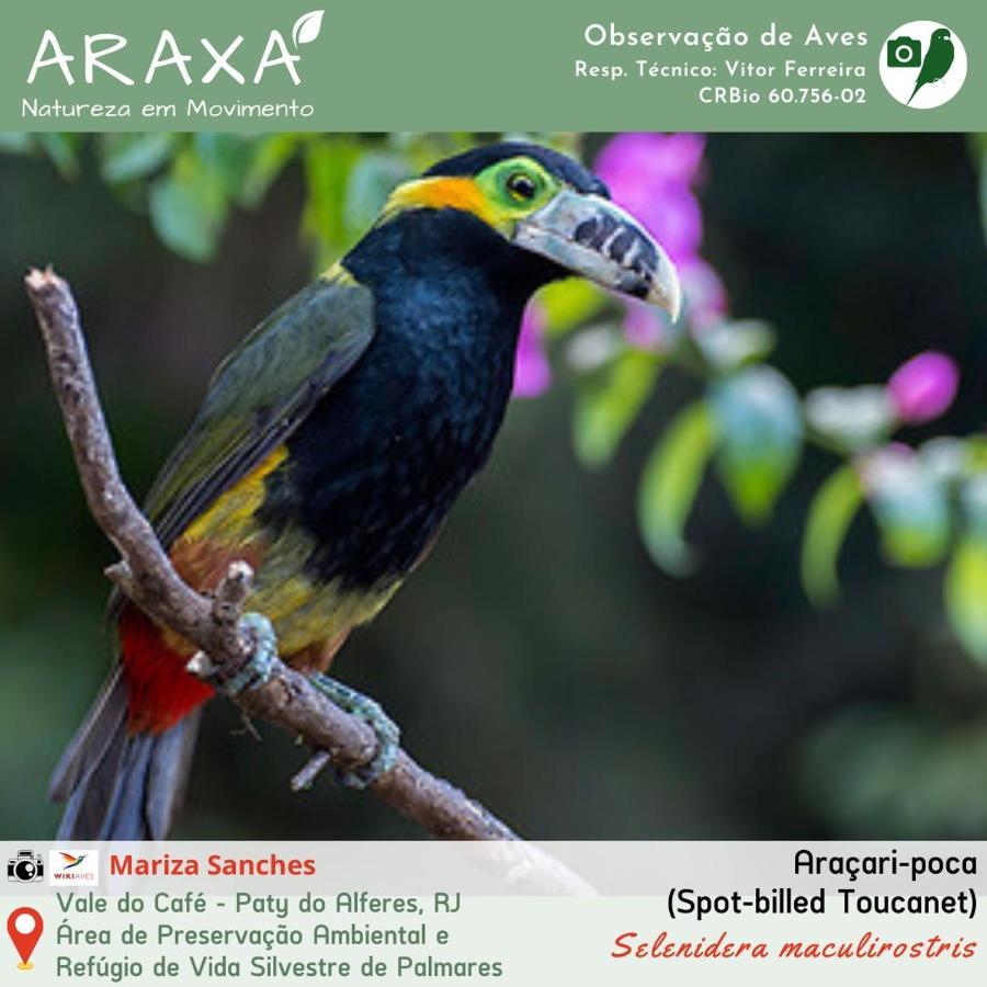 Sitio Araxa - 82 Anos De Historia - Suite Confortavel Em Meio A Floresta Paty do Alferes Extérieur photo